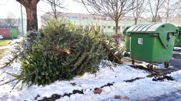 discarded christmas tree next to the trash