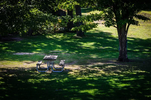 Single Picnic Table Shady Park Bright Sunny Day Summer — Stock Photo, Image