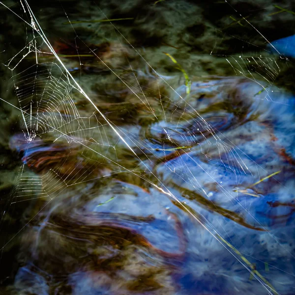 Multiple Spider Webs Suspended Swirling Blue Water — Stock Photo, Image