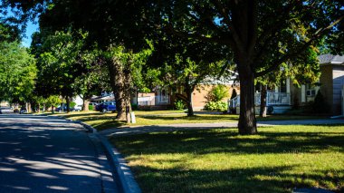 Panoramic view of a row of houses on a curved shady street under tall trees on a bright sunny morning.
