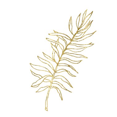 Palm leaves hand drawn single illustration.