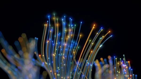 Câbles à fibre optique. Illustration 3d — Photo