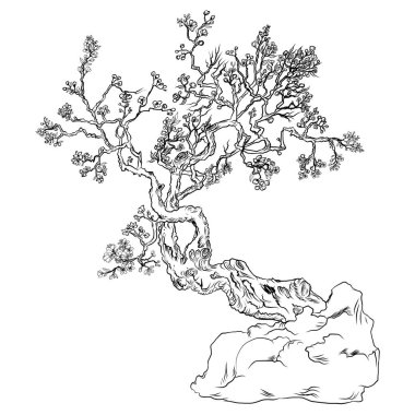 Sakura çiçek dövmesi. El japonya.anahat ve siluet şeftali çiçeği kiraz çiçeği izole izole çizilmiş.