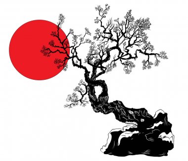 El çiçekleri, Sakura ağacı ve Japon çiçek ile Kiraz dalları çizilmiş. El japonya.anahat ve siluet şeftali çiçeği kiraz çiçeği izole izole çizilmiş.