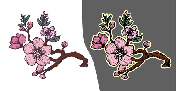 Sakura flower tattoo.Hand drawn isolate cherry blossom flower of Japan.Outline and silhouette peach blossom.