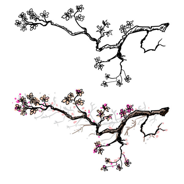 Hand drawn Cherry branches with flowers,Sakura tree and Japanese flower.Hand drawn isolate cherry blossom flower of Japan.Outline and silhouette peach blossom.
