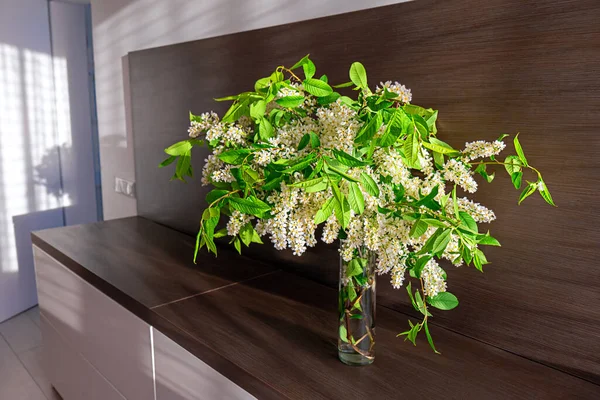 Enorme Ramo Fragantes Cerezas Pájaro Encuentra Dormitorio Cómoda Los Rayos —  Fotos de Stock