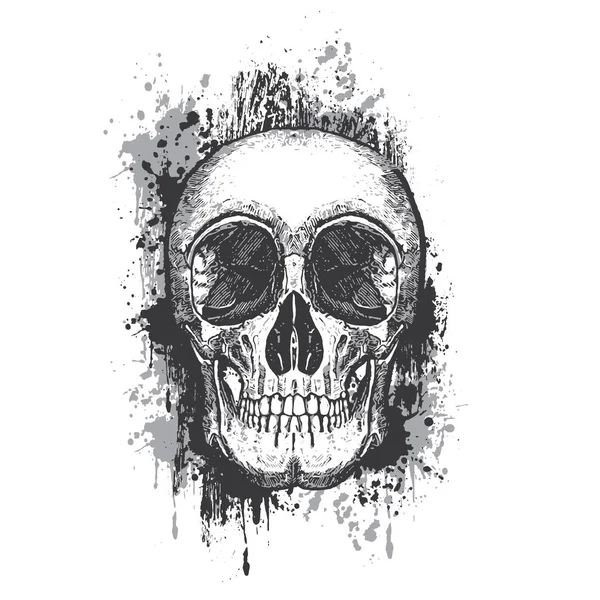 Banner Elegante Con Cráneo Ilustración Del Vector — Archivo Imágenes Vectoriales