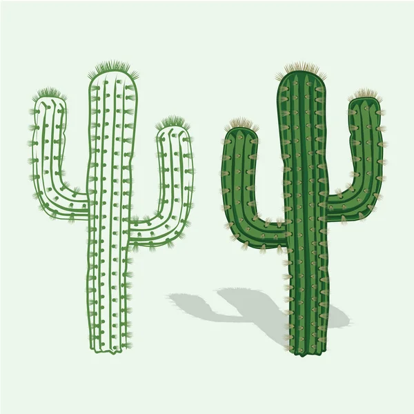Bannière Élégante Avec Des Cactus Verts Illustration Vectorielle — Image vectorielle