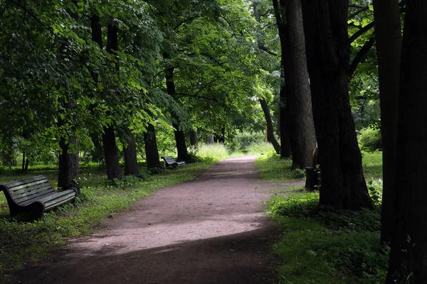 在一个安静的公园里走着一条小径 宁静宁静 — 图库照片