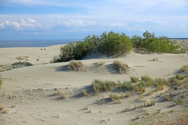 Landscape Sea Sand Blue Sky Curonian Spit Kaliningrad Region Russia — Stock Photo, Image