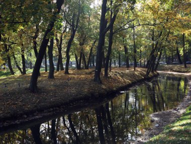 Sonbahar manzarası, Tauride Garden Saint Petersburg, Rusya