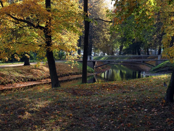 Восени Пейзаж Сад Тавріде Санкт Петербурзі Росія — стокове фото