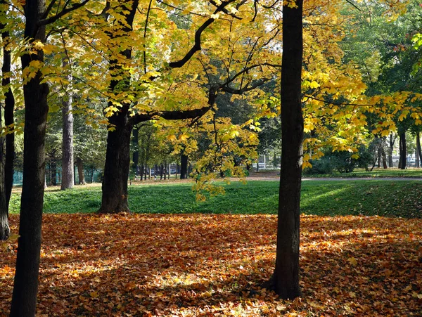 俄罗斯圣彼得堡陶勒德花园的金秋风景 — 图库照片