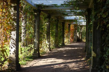 St. Petersburg Puşkin, Rusya 'nın banliyösündeki parkta bir sokak.