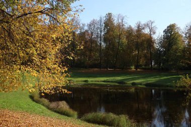 Rusya 'nın St. Petersburg Puşkin banliyösündeki bir parkta sonbahar manzarası