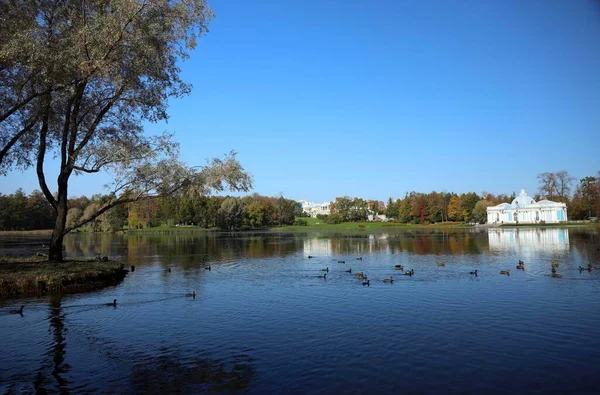 圣彼得堡 普希金 俄罗斯 2020年10月2日 Tsarskoe Selo的秋季风景 在俄罗斯旅行 — 图库照片