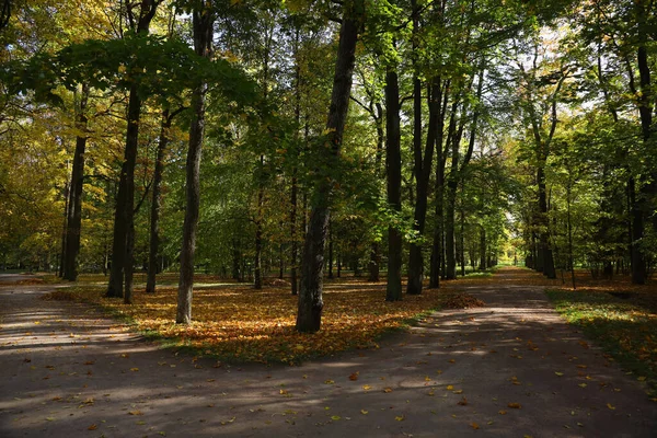 autumn landscape in a park in the suburb of St. Petersburg Pushkin, Russia