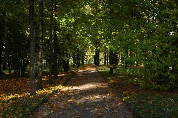 Восени Парку Передмісті Санкт Петербург Пушкін Росія — стокове фото