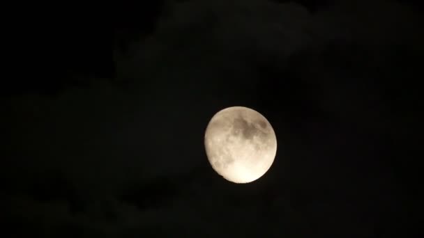 Noche Luna Llena — Vídeos de Stock