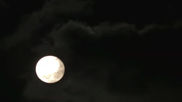 Noche Luna Llena — Vídeo de stock