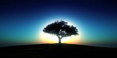 ağaç sunset alanındaki