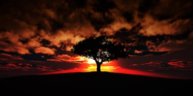 ağaç sunset alanındaki