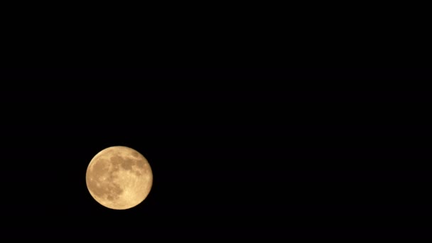 Night Full Moon — Stock Video