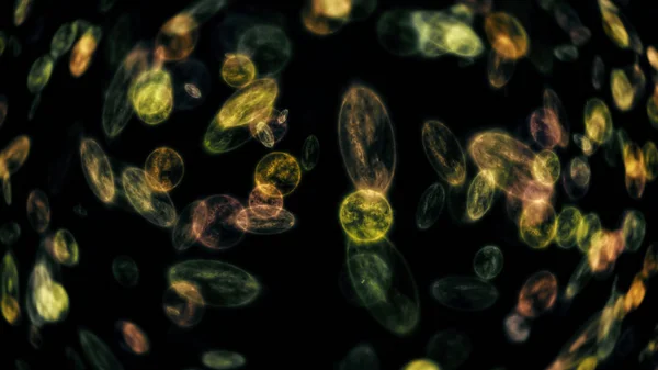 Microorganismos Bacterianos Ver Microscopio — Foto de Stock
