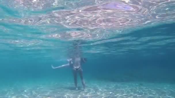 Mädchen Tanga Spielen Unter Wasser — Stockvideo