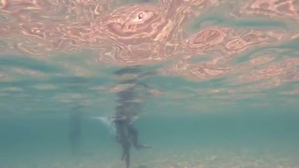 Meisjes Thong Spelen Onderwater — Stockvideo