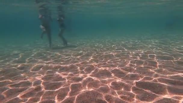 Flickor Thong Spela Underwater — Stockvideo
