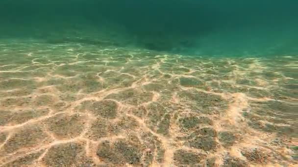 Potápění Pod Vodou Zpomalený Pohyb — Stock video