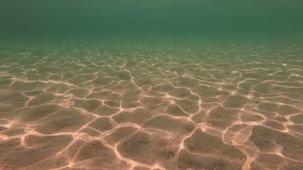 Buceo Cámara Lenta Bajo Agua — Vídeos de Stock