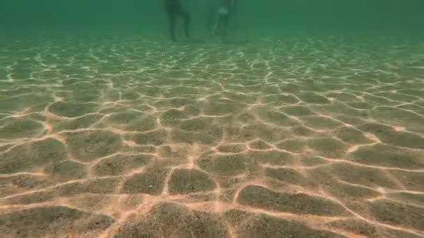 Nadadores Submarinos Mar — Vídeo de stock