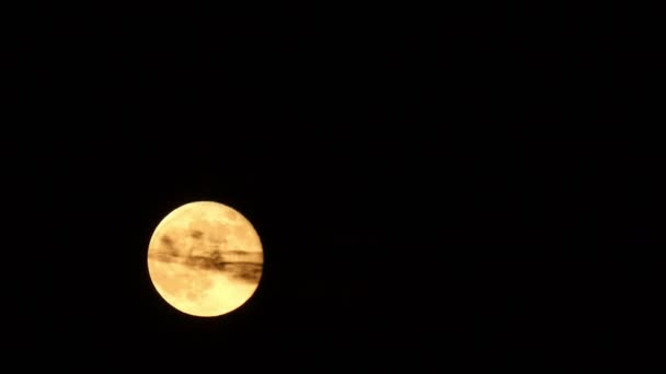 Noche Luna Llena — Vídeo de stock