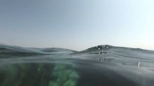 moitié dans l'eau 
