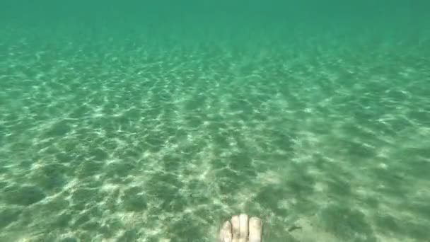 在海上游泳的腿 — 图库视频影像
