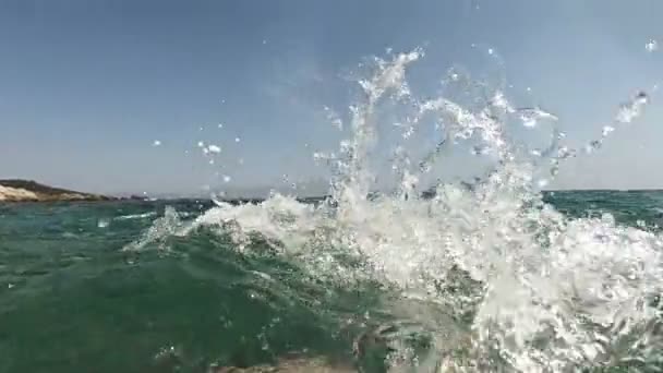 Pływak Nogi Morzu — Wideo stockowe