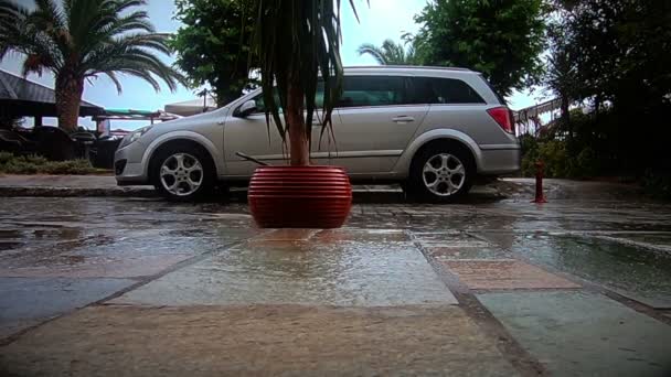 Pluie Dans Rue Ralenti — Video