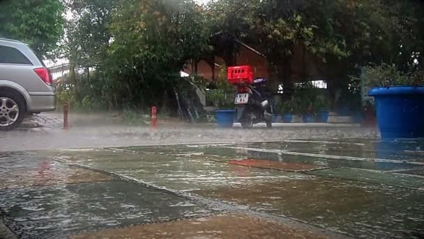 Lluvia Calle Cámara Lenta — Vídeo de stock