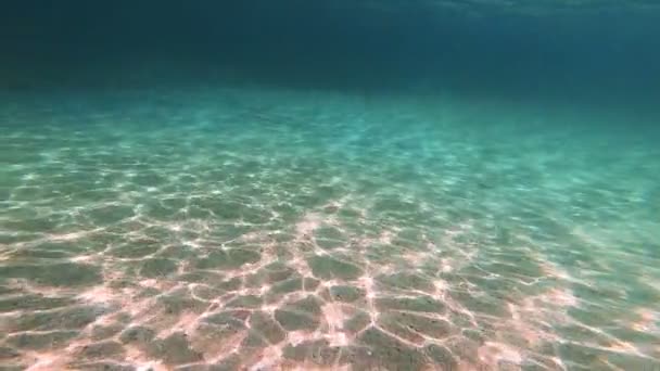 Tauchen Unter Wasser Zeitlupe — Stockvideo