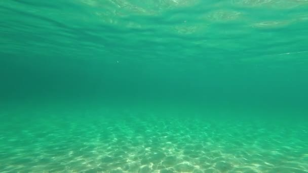 Scuba Diving Underwater Slow Motion — Stock Video