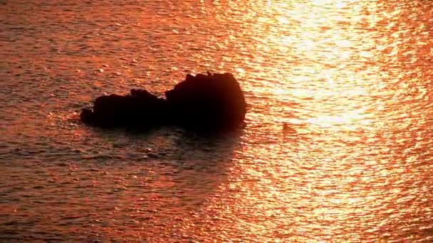 Havet Solnedgång Rock Guld — Stockvideo