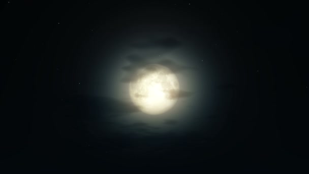 Night Full Moon — Stock Video