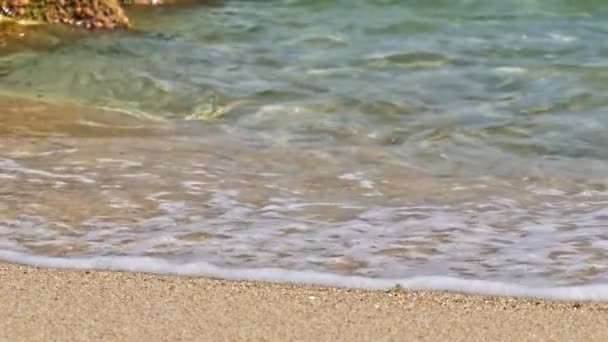 Spiaggia Onda Macro Rallentatore — Video Stock