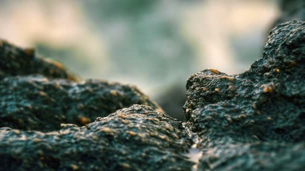 Onde Che Infrangono Una Roccia Nel Mare Macro — Video Stock