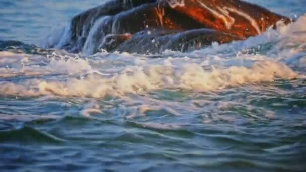 Vågorna Krasch Sten Havet Makrot — Stockvideo