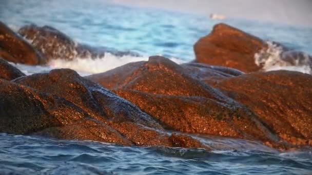 Ondas Colidem Uma Rocha Mar Macro — Vídeo de Stock