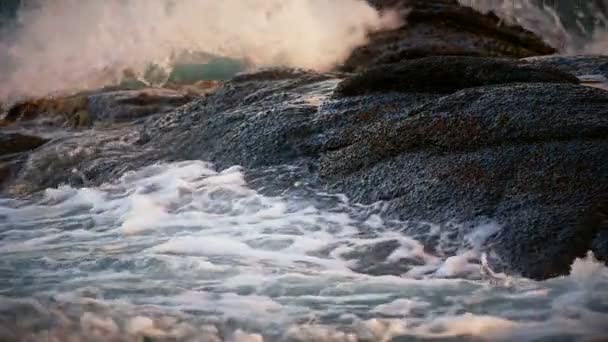 マクロの海の岩の上の波のクラッシュ — ストック動画